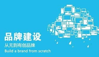 北京企业网络推广与信息咨询服务选择指南